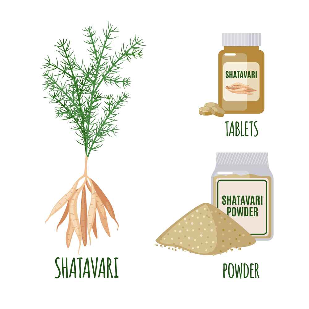 Shatavari Powder and Tablets for Health