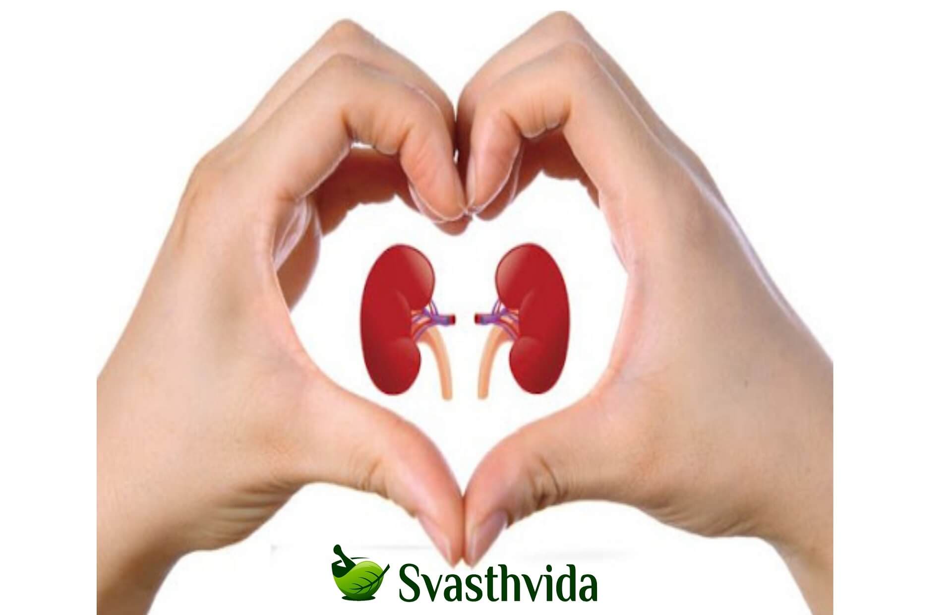 Ayurvedic Treatment For Chronic Renal Failure In Ajmer